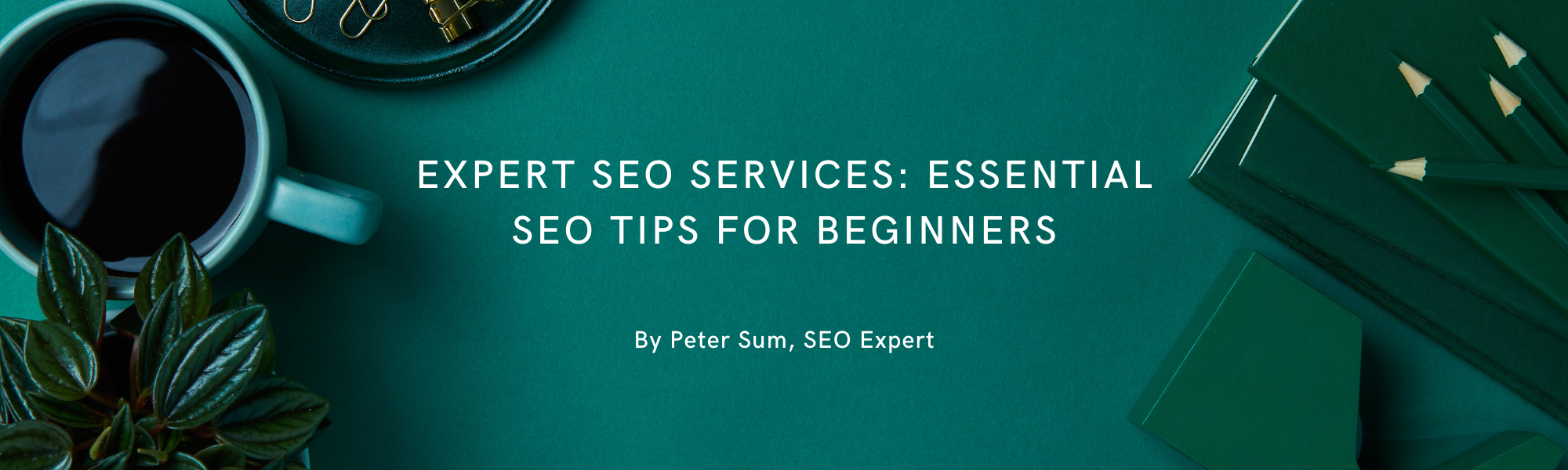 Expert SEO Services